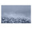 Art Listing B