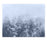 Art Listing A