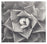 Art Listing B