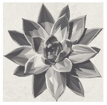 Art Listing B